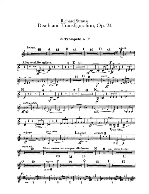 Trumpet 3 (F)
