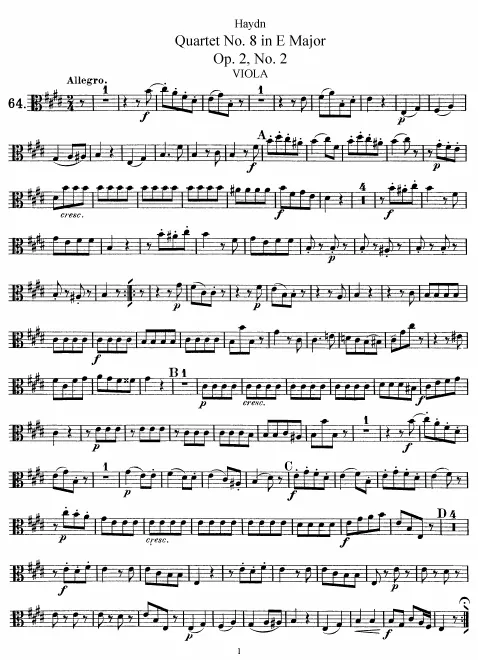 Viola