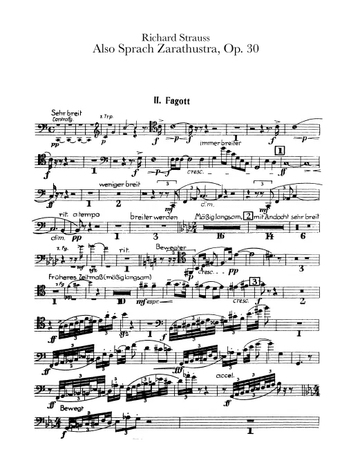 Bassoon 2