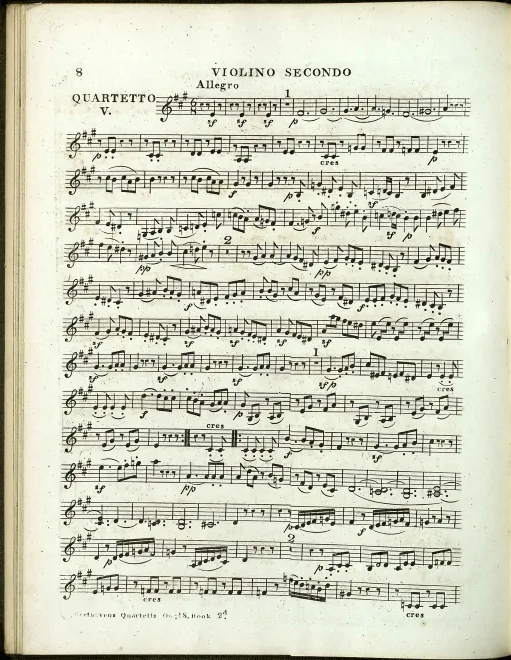 Violin 2
