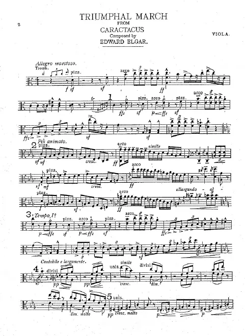 Violas