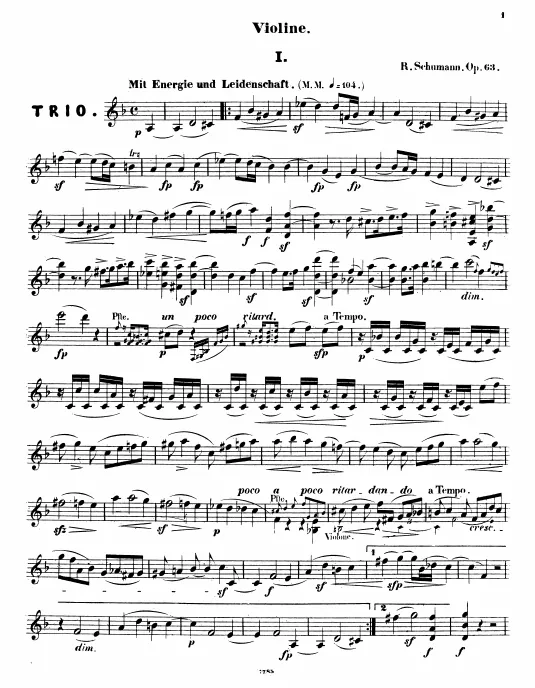 Violin