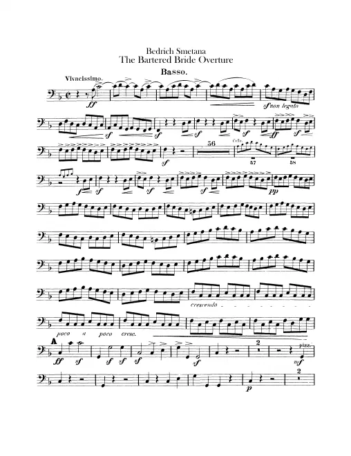 Basses