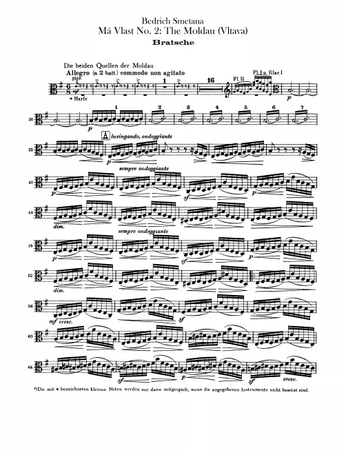 Violas