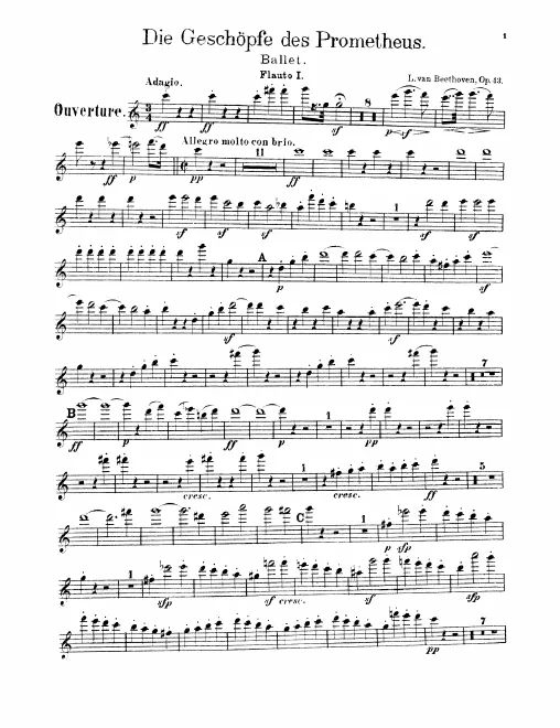 Flute 1