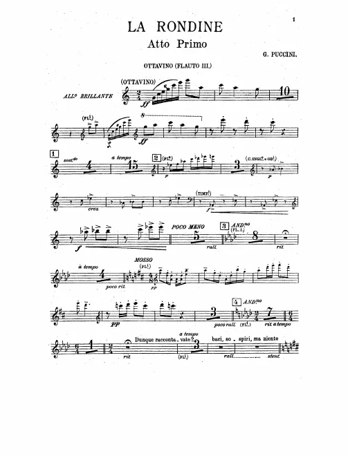 Flute 3/Piccolo