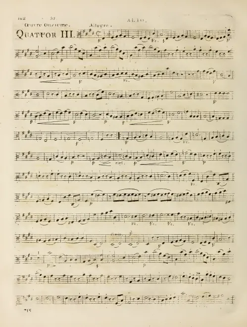 Viola