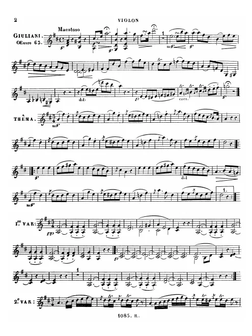 Violin