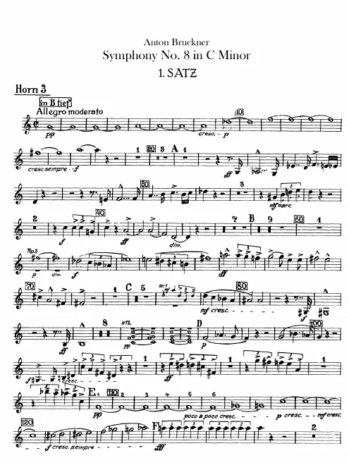 Horn 3 (B/F)
