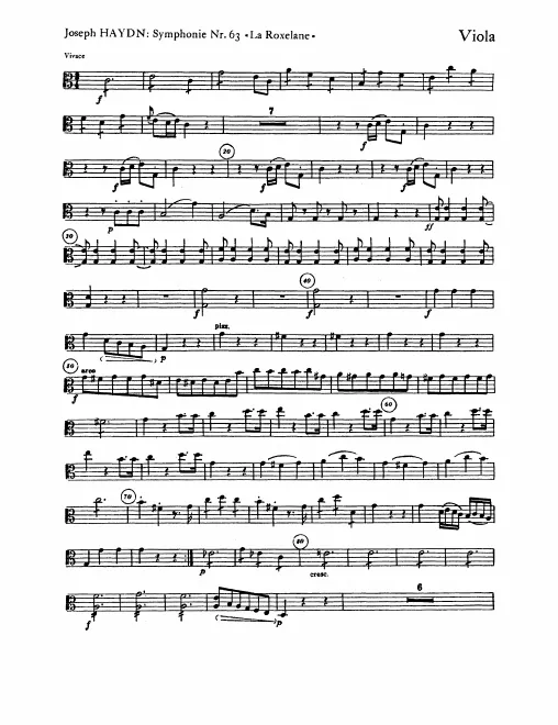 Violas