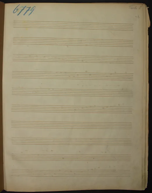 Viola 2