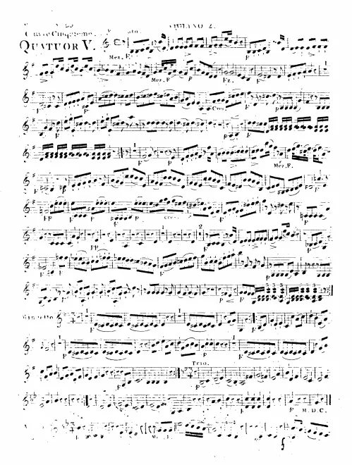 Violin 2