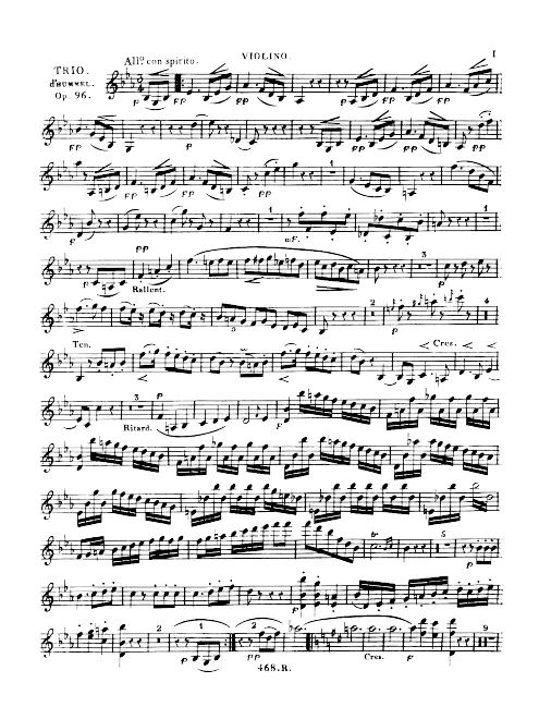 Violin