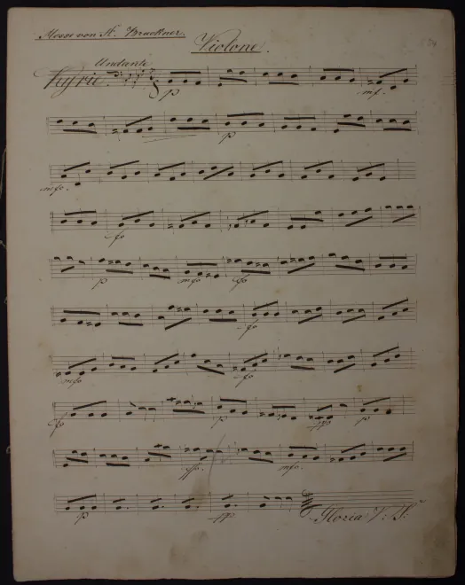 Basses