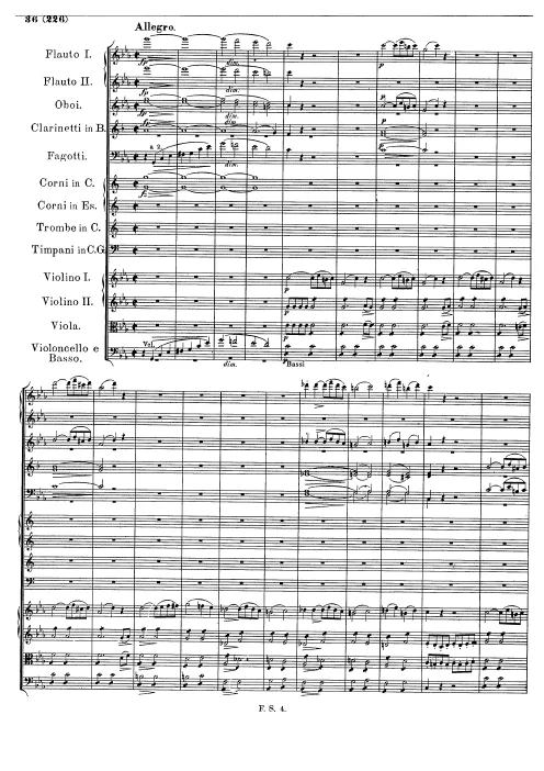 IV. Allegro