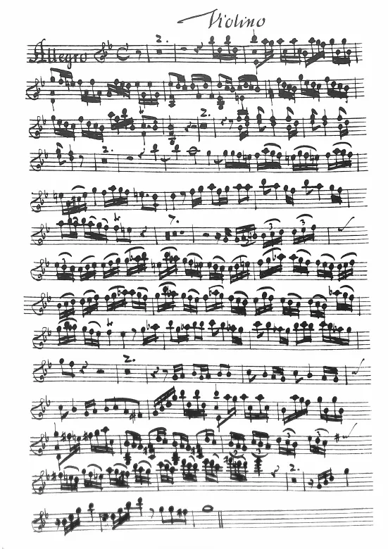 Violin