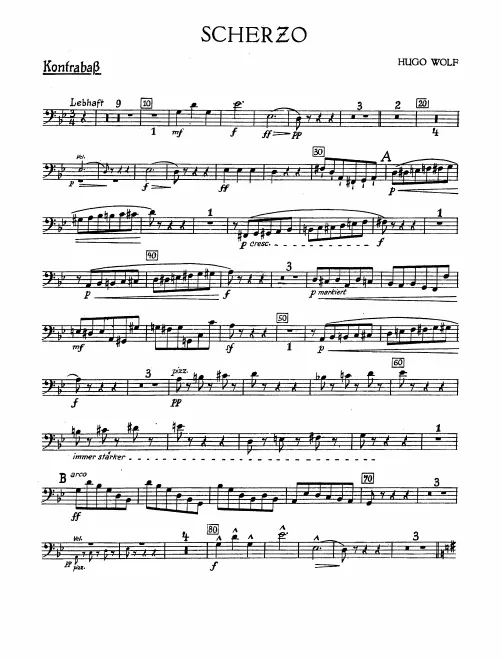 Basses