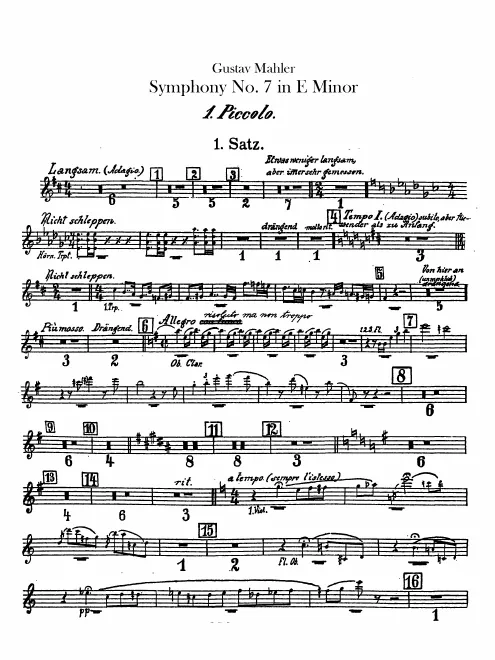 Piccolo 1