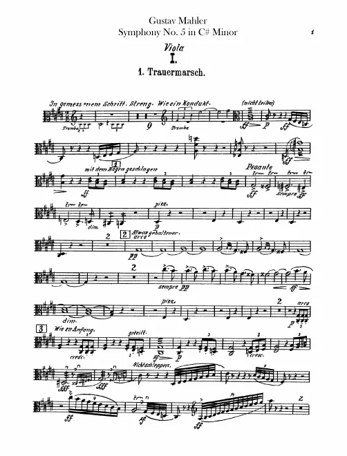 Violas