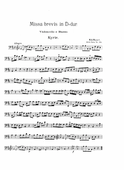 Cellos and Basses