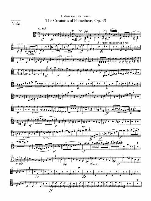 Violas