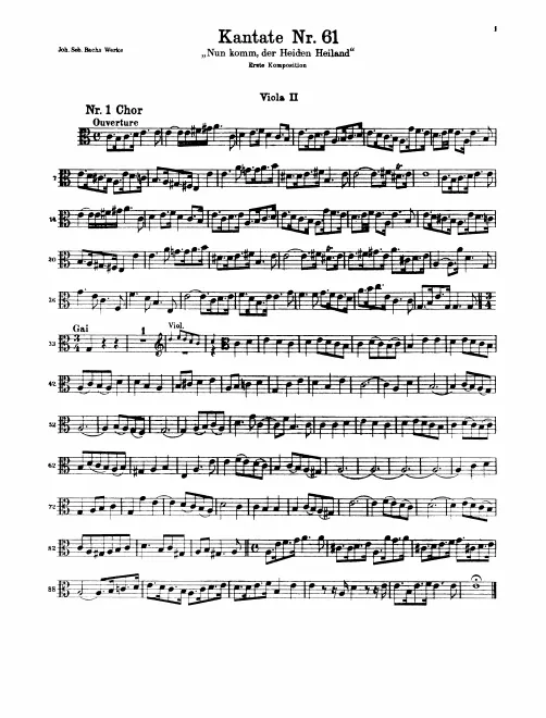 Violas II
