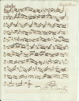 Flute 2