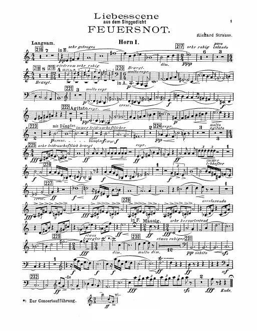 Horn 1, 2, 3, 4 (D/A/G/E/F)