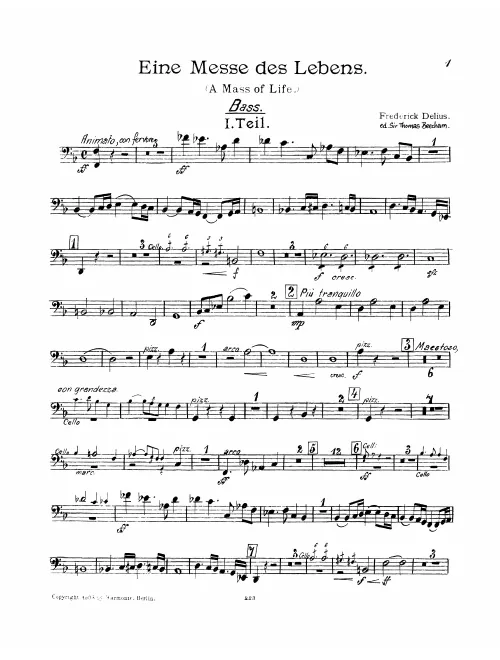 Basses