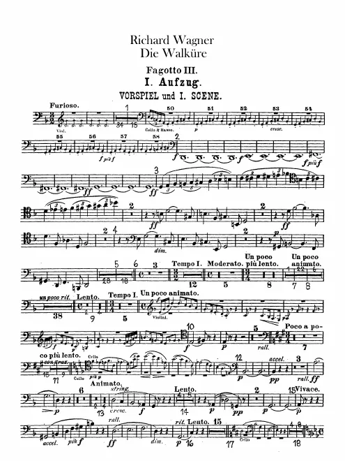 Bassoon 3