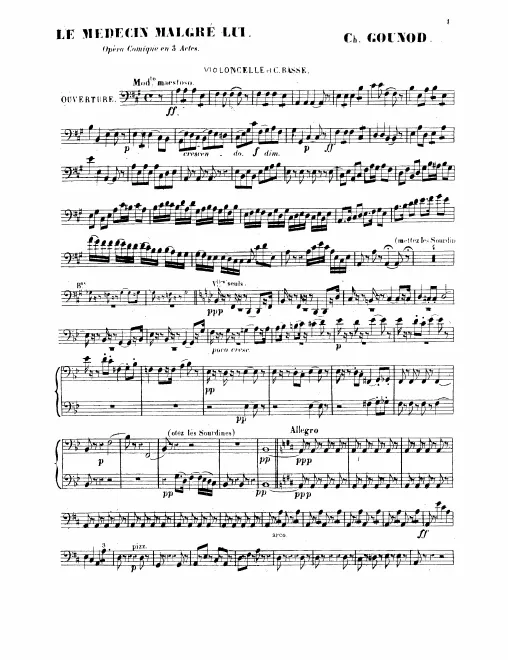 Cellos/Basses