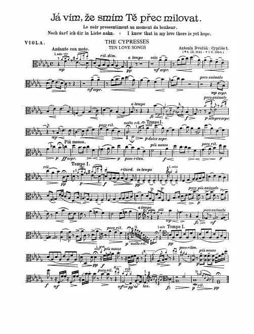 Violas
