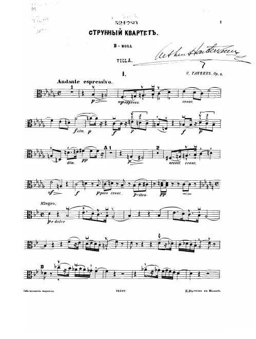 Viola