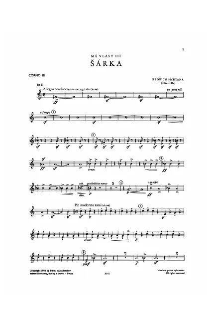 Horn 3 (C)