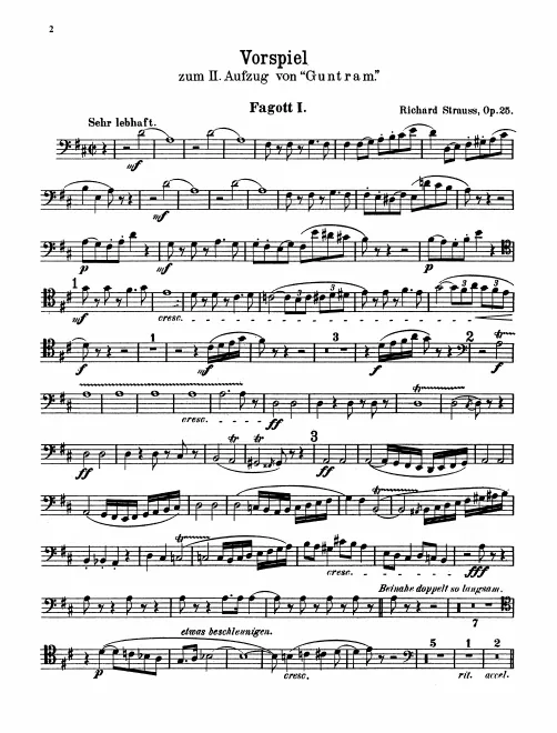 Bassoon 1, 2, 3, Contrabassoon