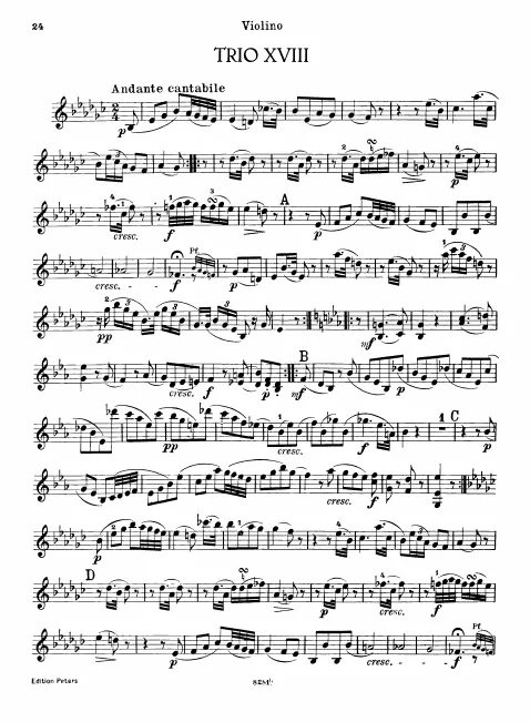 Violin