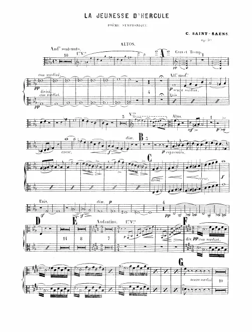 Violas
