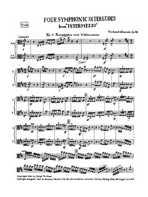 Violas