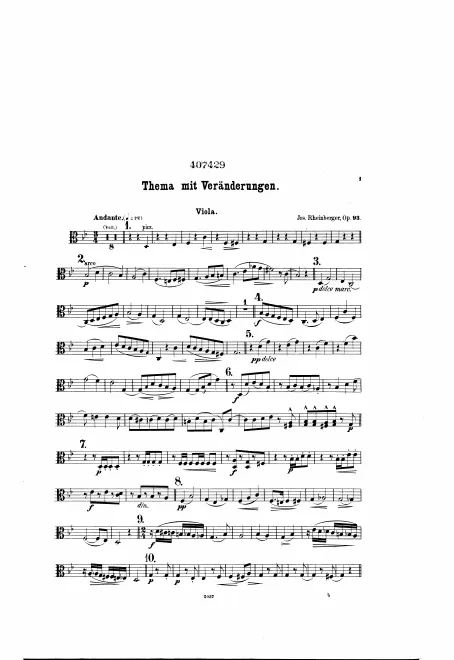 Viola