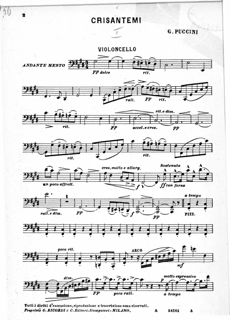 Cello