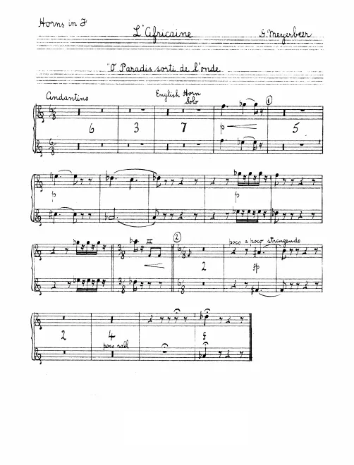 Horn 1/2 (F), 3/4 (E)