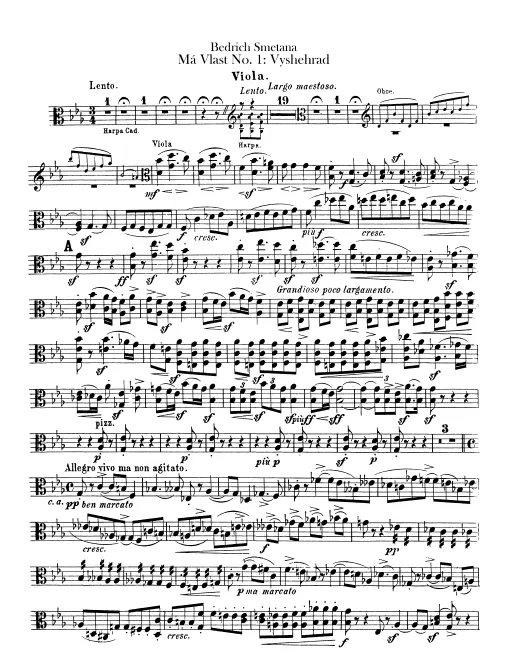 Violas