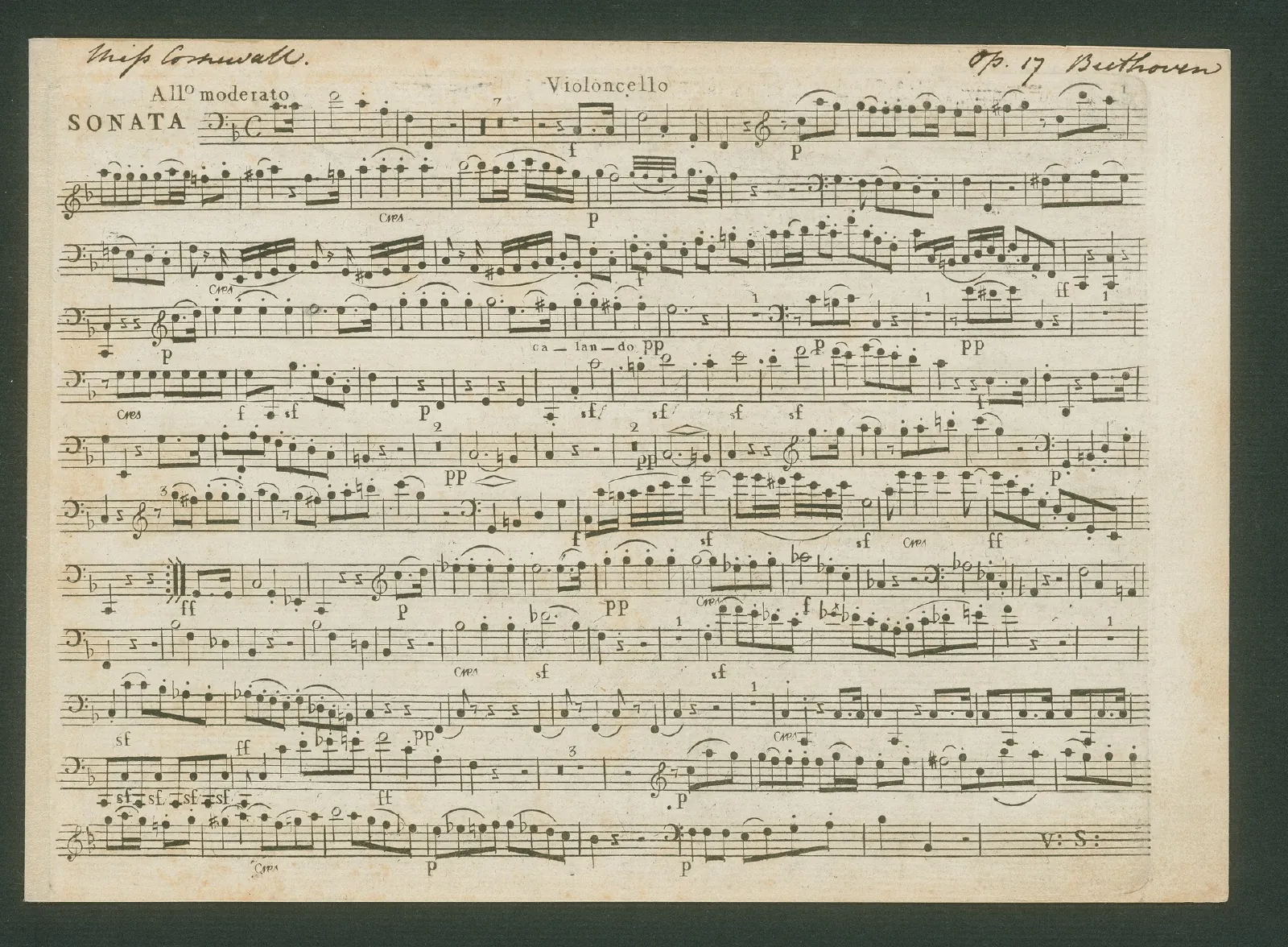 Cello