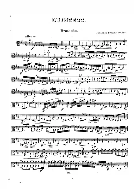 Viola