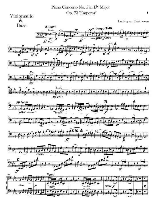 Cellos / Basses