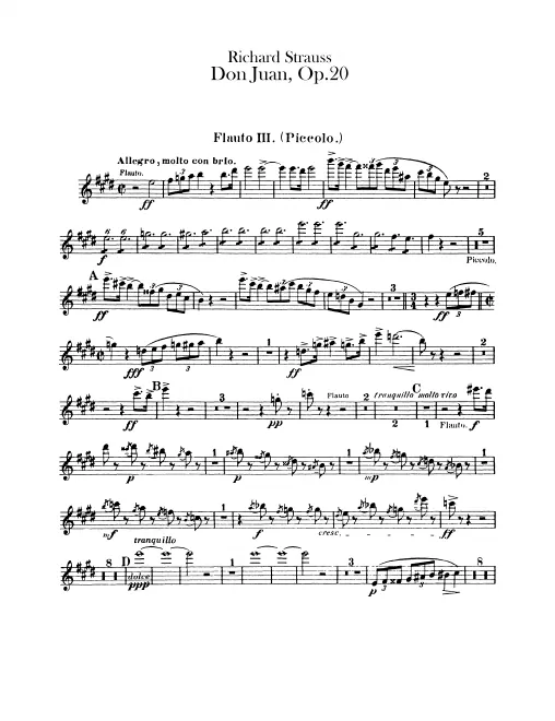 Flute 3/Piccolo