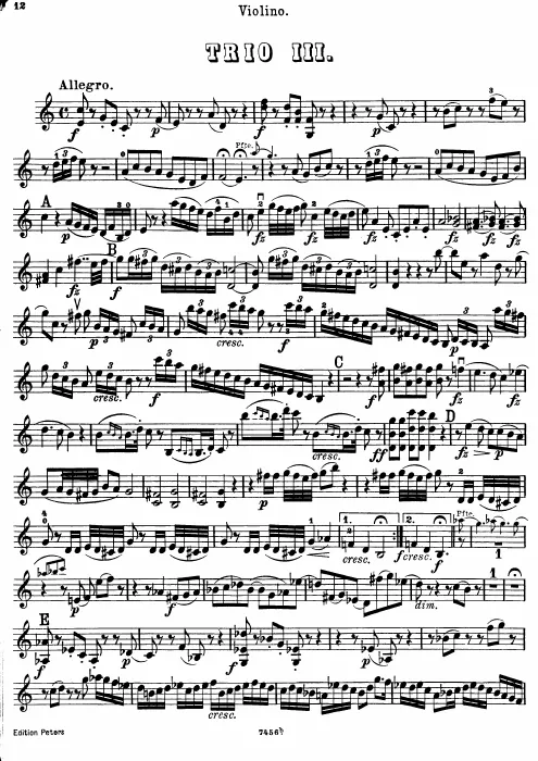 Violin