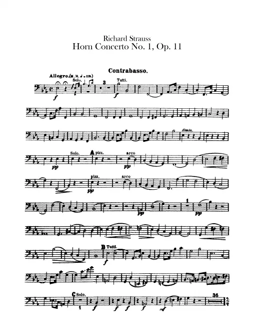 Basses