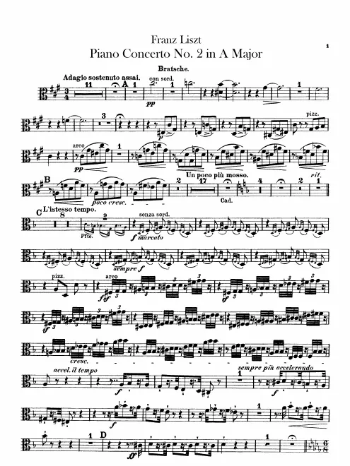 Violas