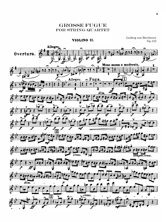 Violin 2
